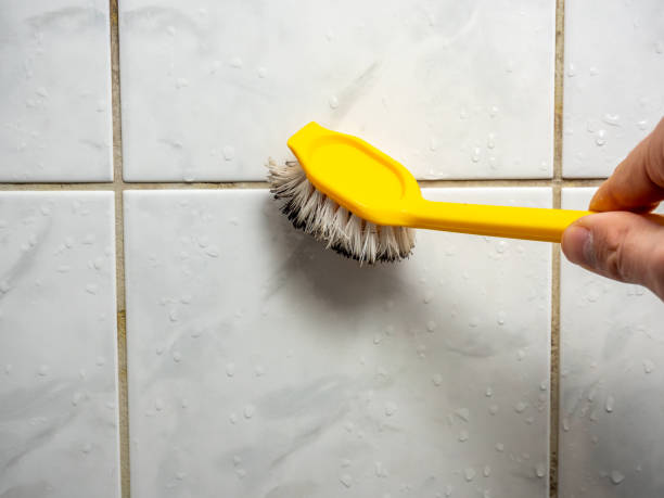 Best Kitchen Mold Remediation in Seis Lagos, TX
